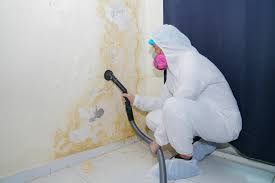 Mold Remediation for Rental Properties in Baxter Village, SC